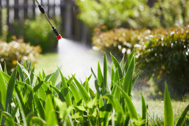 Tamper-Resistant Bait Stations for Rodents in Littleton Common