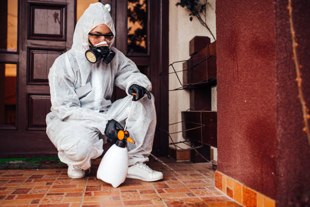 Attic and Crawl Space Rodent Treatment in Littleton Common