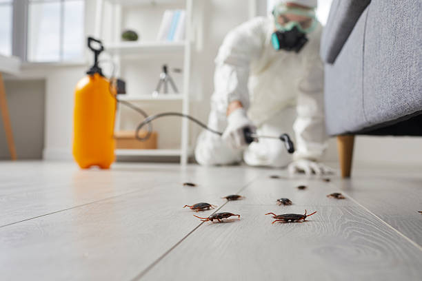 Commercial Rodent Management in Littleton Common